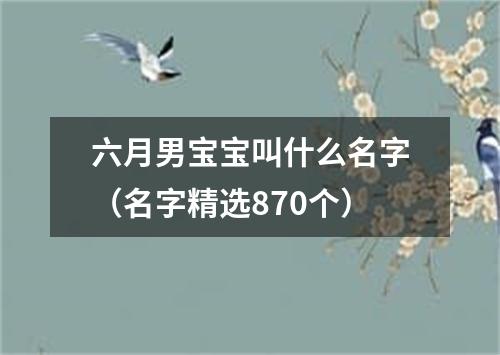 六月男宝宝叫什么名字（名字精选870个）