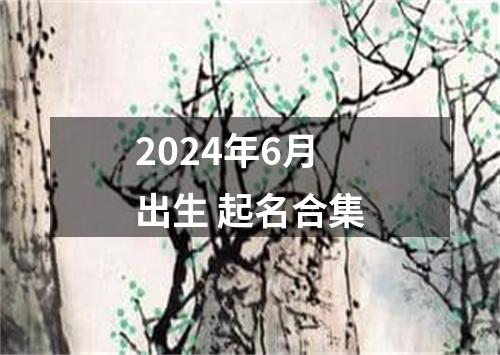 2024年6月出生 起名合集