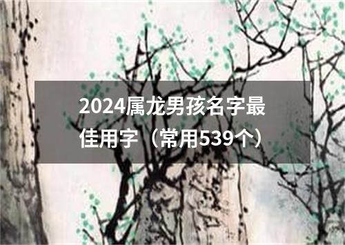 2024属龙男孩名字最佳用字（常用539个）