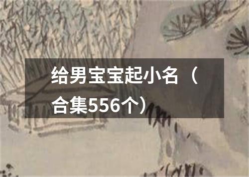 给男宝宝起小名（合集556个）