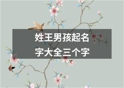 姓王男孩起名字大全三个字