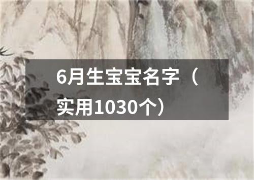 6月生宝宝名字（实用1030个）