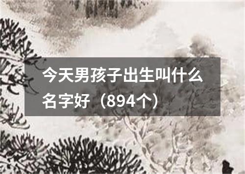 今天男孩子出生叫什么名字好（894个）