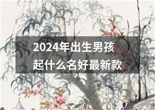 2024年出生男孩起什么名好最新款