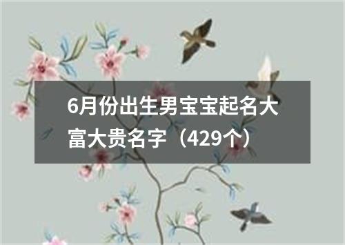 6月份出生男宝宝起名大富大贵名字（429个）