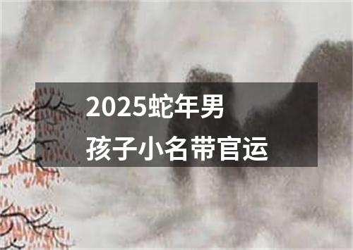 2025蛇年男孩子小名带官运