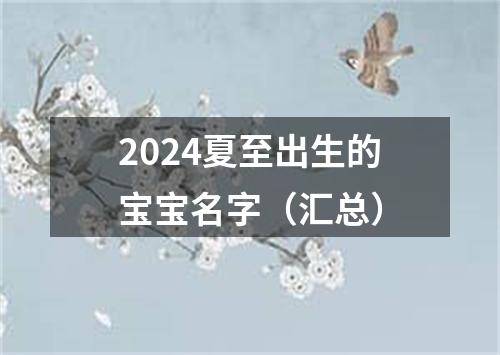 2024夏至出生的宝宝名字（汇总）