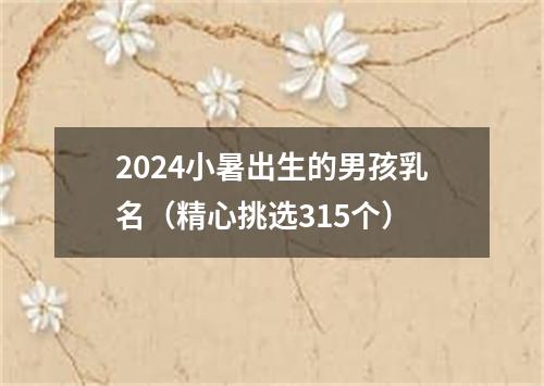 2024小暑出生的男孩乳名（精心挑选315个）