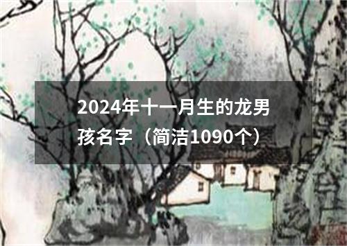 2024年十一月生的龙男孩名字（简洁1090个）