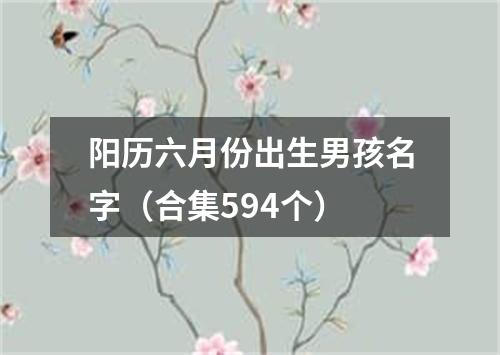 阳历六月份出生男孩名字（合集594个）