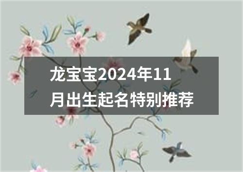 龙宝宝2024年11月出生起名特别推荐