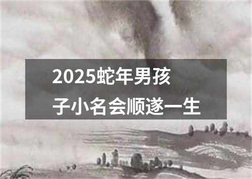 2025蛇年男孩子小名会顺遂一生