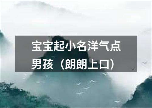 宝宝起小名洋气点男孩（朗朗上口）