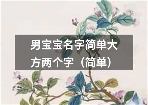 男宝宝名字简单大方两个字（简单）