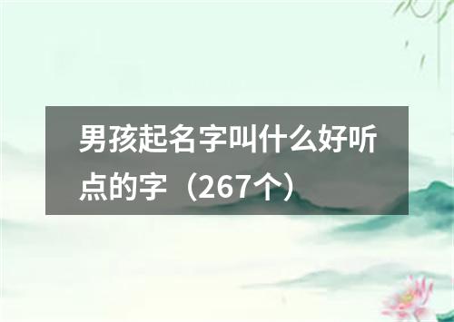 男孩起名字叫什么好听点的字（267个）