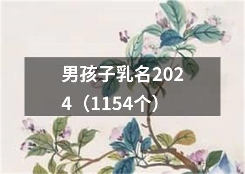 男孩子乳名2024（1154个）