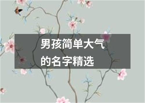 男孩简单大气的名字精选