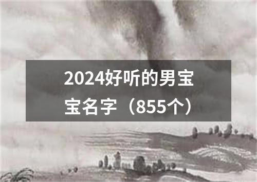 2024好听的男宝宝名字（855个）