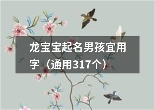 龙宝宝起名男孩宜用字（通用317个）