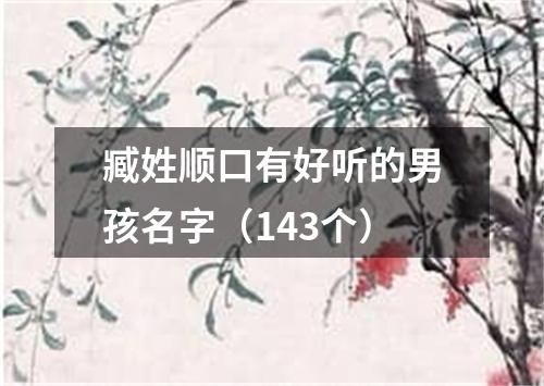 臧姓顺口有好听的男孩名字（143个）