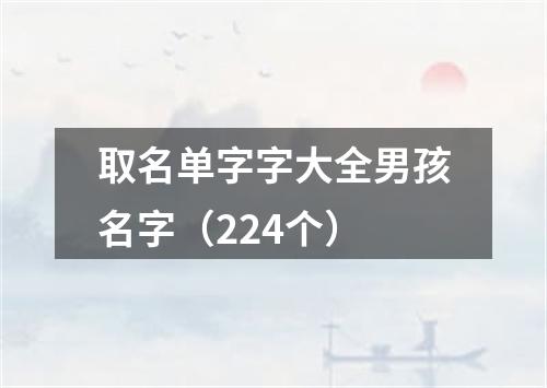 取名单字字大全男孩名字（224个）