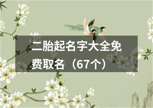 二胎起名字大全免费取名（67个）