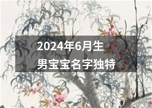 2024年6月生男宝宝名字独特