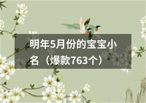 明年5月份的宝宝小名（爆款763个）