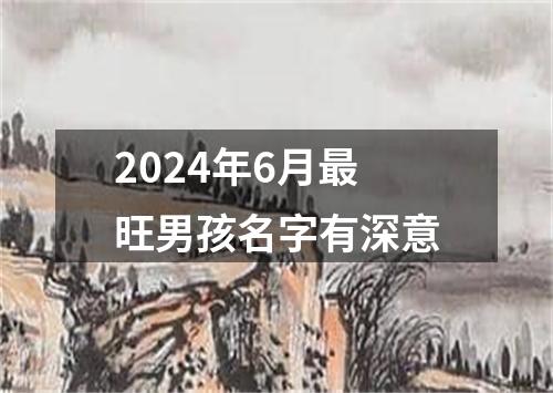 2024年6月最旺男孩名字有深意