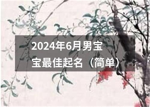 2024年6月男宝宝最佳起名（简单）