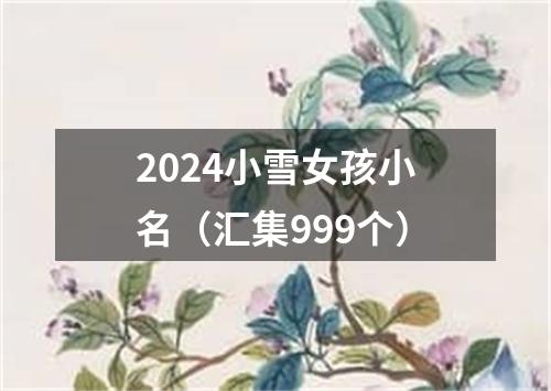 2024小雪女孩小名（汇集999个）