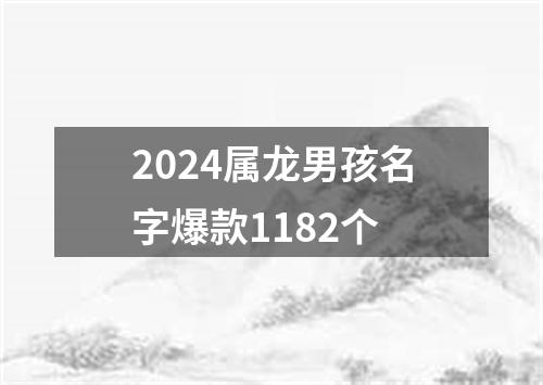 2024属龙男孩名字爆款1182个