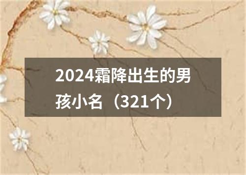 2024霜降出生的男孩小名（321个）