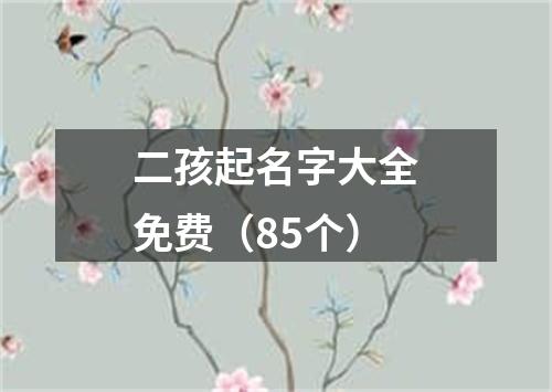 二孩起名字大全免费（85个）