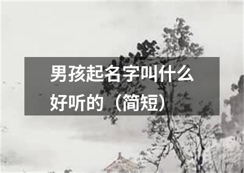 男孩起名字叫什么好听的（简短）