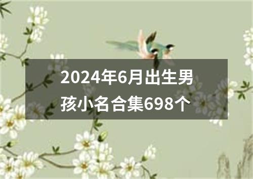 2024年6月出生男孩小名合集698个