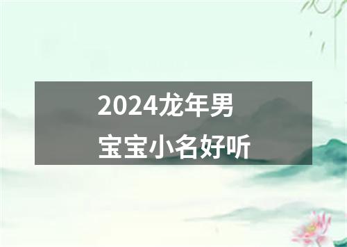 2024龙年男宝宝小名好听