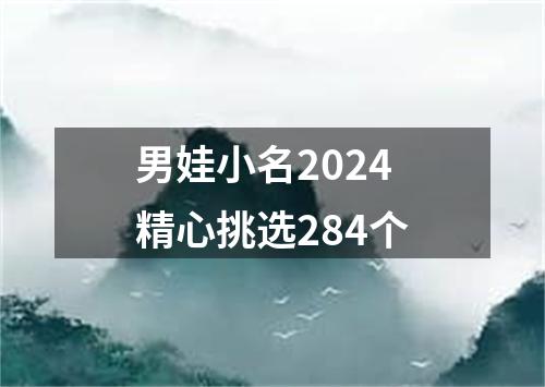 男娃小名2024精心挑选284个