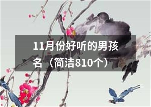 11月份好听的男孩名（简洁810个）