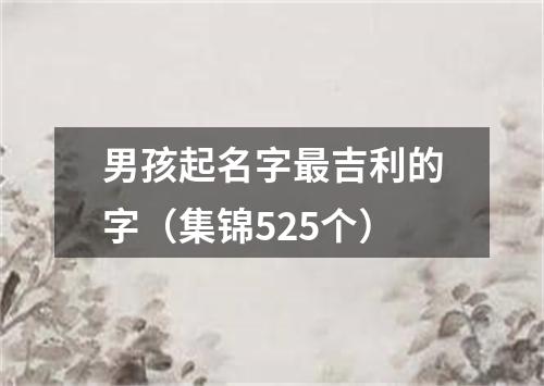 男孩起名字最吉利的字（集锦525个）