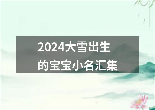 2024大雪出生的宝宝小名汇集