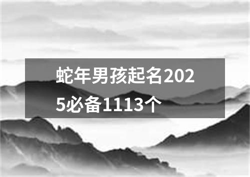 蛇年男孩起名2025必备1113个