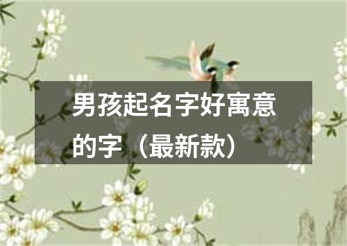 男孩起名字好寓意的字（最新款）