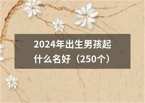 2024年出生男孩起什么名好（250个）