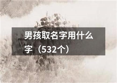 男孩取名字用什么字（532个）