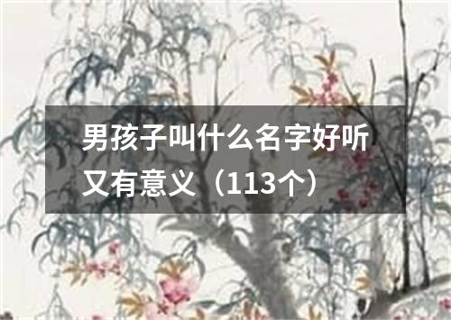 男孩子叫什么名字好听又有意义（113个）