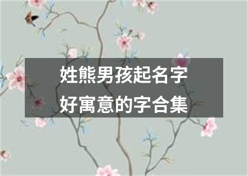 姓熊男孩起名字好寓意的字合集