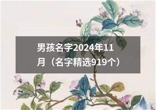 男孩名字2024年11月（名字精选919个）