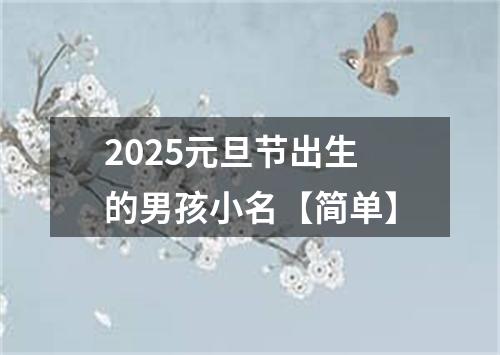 2025元旦节出生的男孩小名【简单】