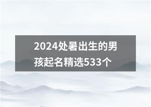 2024处暑出生的男孩起名精选533个